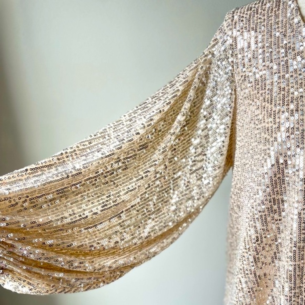 Vine & Love | V-Neck Sequin Blouse with Balloon Sleeves | Champagne | Small - Picture 5 of 5